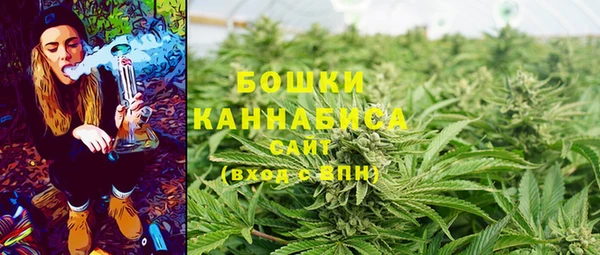 гидра Белокуриха
