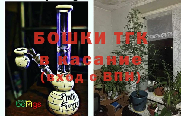 гидра Белокуриха
