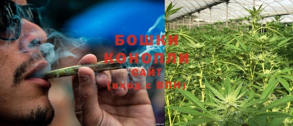 молекула духа Бугульма