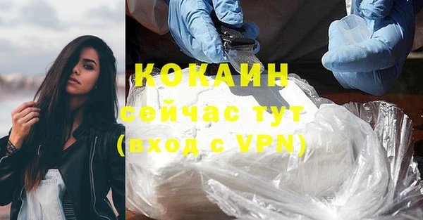 ешки Богданович